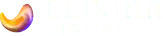 Elixirr